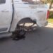 Farola arrancada y daños en dos vehículos tras choque en Belgrano y Alvarado