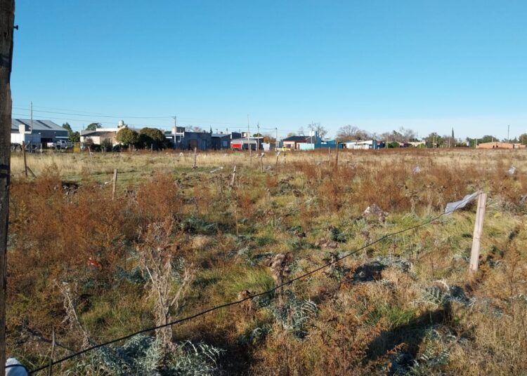 Desactivaron dos tomas de terrenos en distintos puntos de la ciudad, una de ellas detrás del Hogar El Atardecer