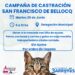 Móvil Quirúrgico de castraciones gratuitas ¿Dónde estará esta semana?