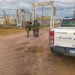 Trasladaron a dos detenidos a la cárcel por robar ganado en Chaves
