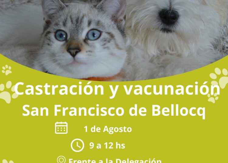 Bromatología informó el cronograma de castraciones para esta semana en las localidades