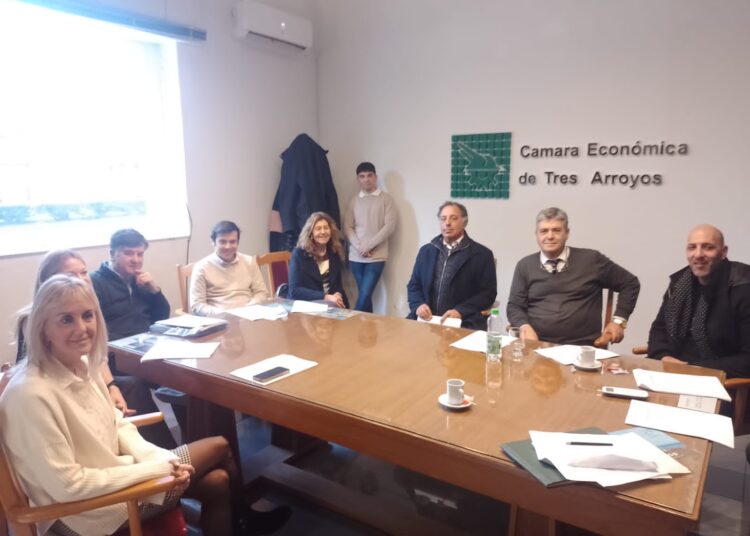 Maciel, nueva presidenta de la Cámara Económica: «en momentos de crisis, la gente se pone un poco más irritada y busca culpables», alegó