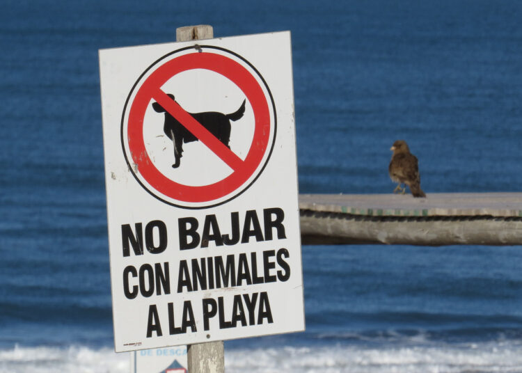 Para el gobierno provincial, la temporada de vacaciones de invierno fue «catastrófica»