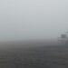 No se ve pero atrás está el mar: densa niebla y escasa visibilidad en Claromecó