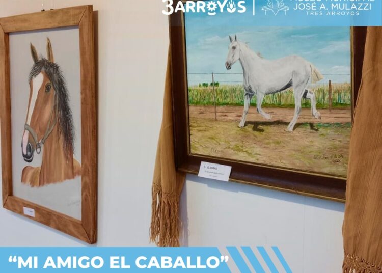 Exposición en el Mulazzi