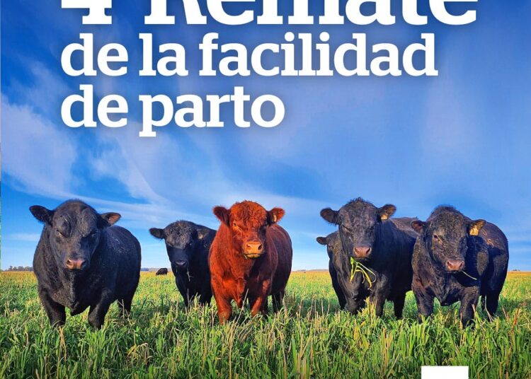 La facilidad de parto ofrece una nueva versión
