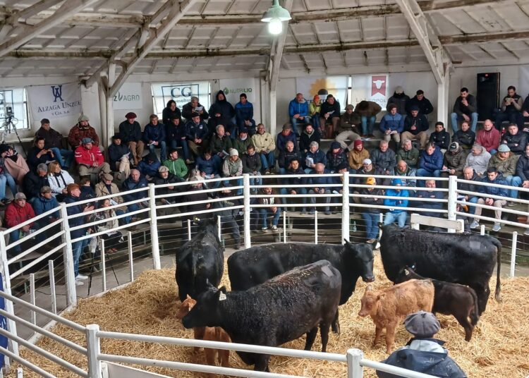 Oferta firme y pareja para la facilidad de parto