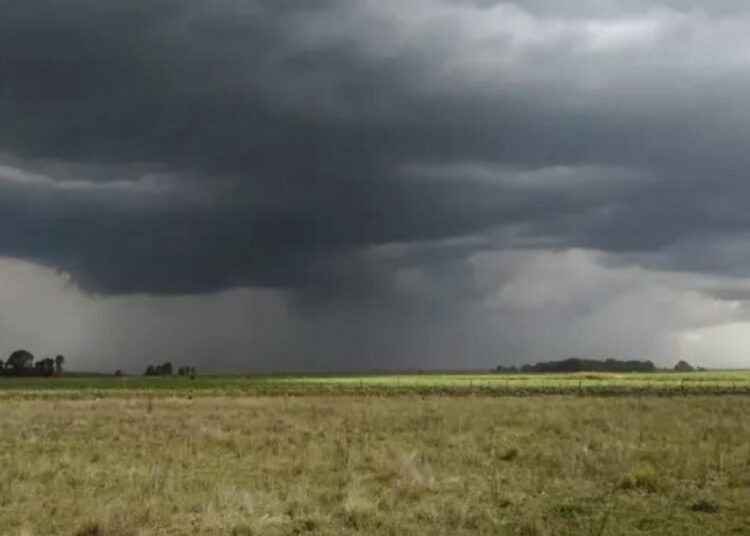 «La demanda hídrica no es grande pero se necesita recargar los perfiles», destacan en el agro tras las lluvias