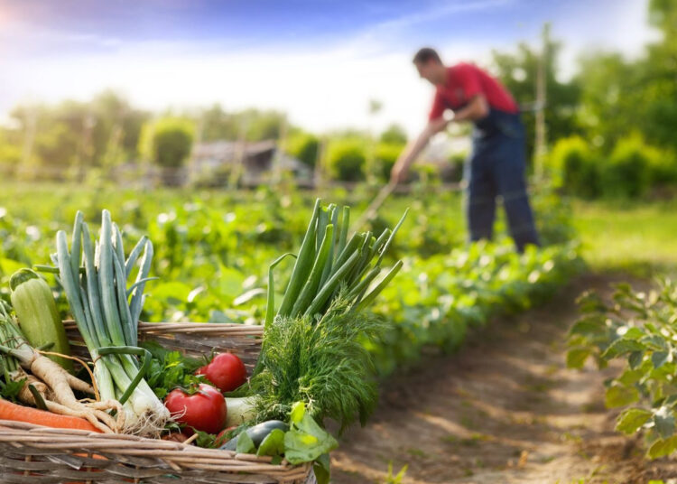 Capacitaciones sobre Huerta Agroecológica en Tres Arroyos “Principios para la autoproducción de semillas de la huerta”