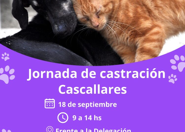 Jornada de castración gratuita en Cascallares