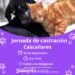 Jornada de castración gratuita en Cascallares