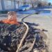 Destacan valores de análisis de agua en el Benito Machado