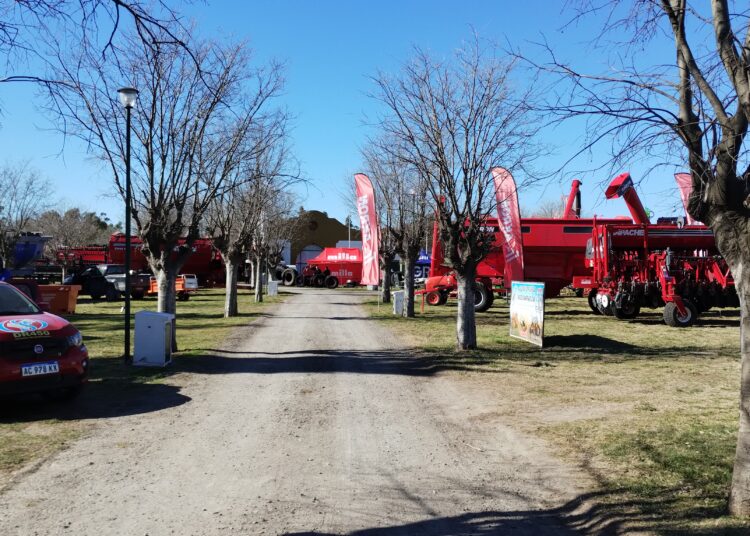 «Está todo colmado y dan buen clima: en este predio, el campo y la ciudad se dan la mano», apuntan en la Expo Rural