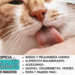 ¿Por qué los gatos tienen la lengua áspera?