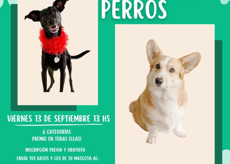Desarrollarán concurso fotográfico y desfile de mascotas el 13 venidero