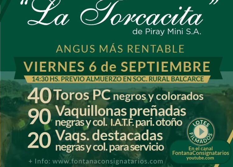 La Torcacita vuelve a las pistas