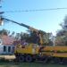Podaron parte de la arboleda circundante al exColegio Argentino Danés