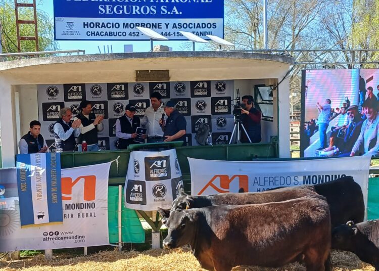 Rústicos entregó un «remate lógico» en Tandil