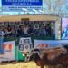 Rústicos entregó un «remate lógico» en Tandil