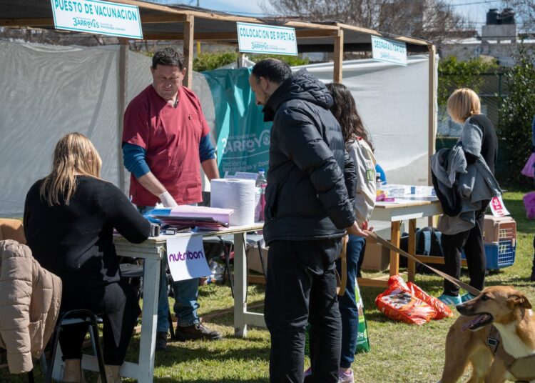 Una jornada para nuestros mejores amigos: Bromatología y Zoonosis realizó con éxito el encuentro para mascotas
