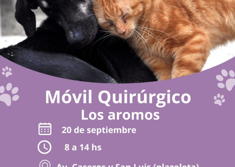 Castraciones gratuitas en Los Aromos: El móvil quirúrgico sigue su recorrido