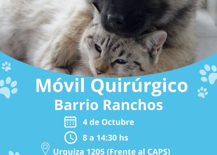 Castraciones gratuitas para comenzar octubre