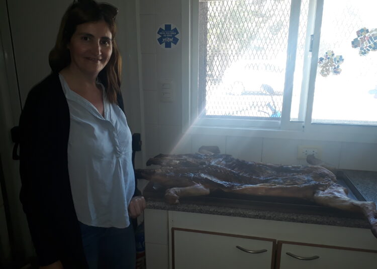 Sortearon alimentos y bebidas por el Día de la Madre en Caminemos Juntos