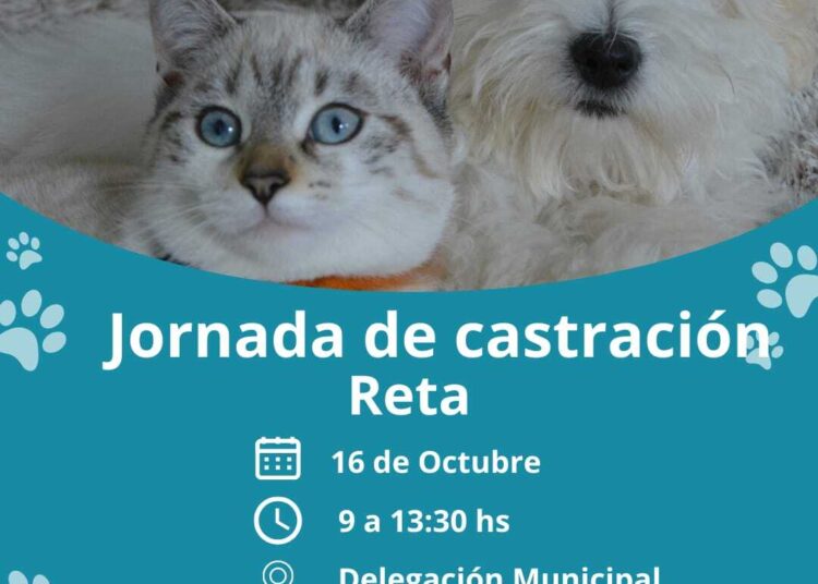 Dirección de Cultura adhiere al mes del Respeto a la Identidad Pluricultural