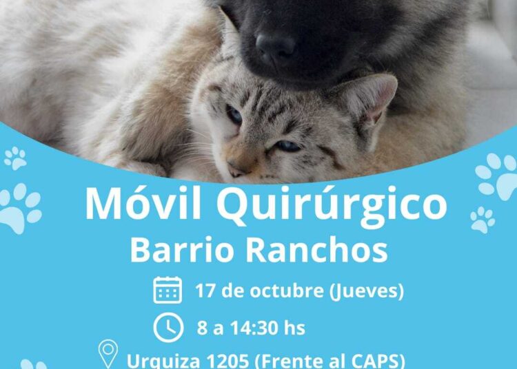 Dirección de Cultura adhiere al mes del Respeto a la Identidad Pluricultural