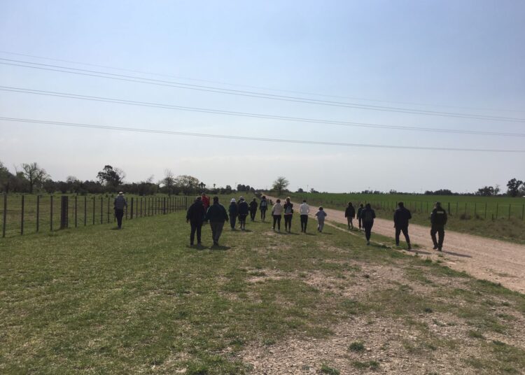 Avistaje de aves en el Sitio de la Memoria: Un llamado a la conservación en el Día Nacional del Ave