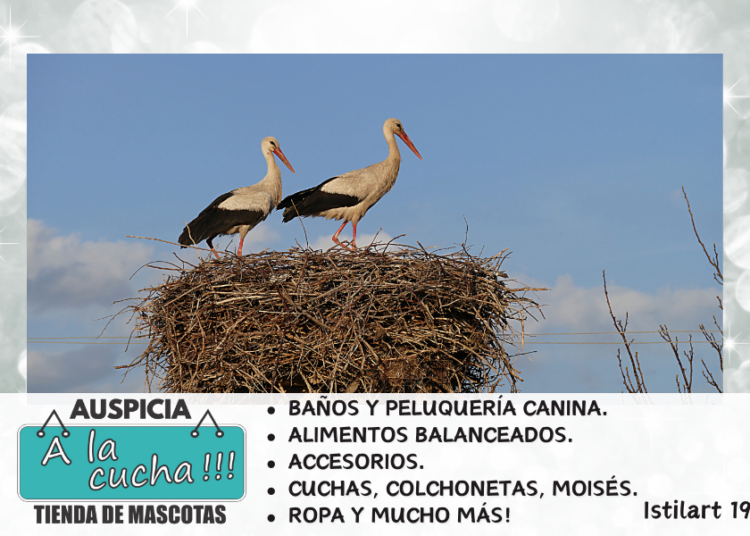 Curiosidades de las cigüeñas
