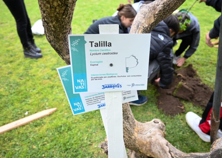 Estudiantes de la Secundaria 2 colaboran con la reforestacion del establecimiento