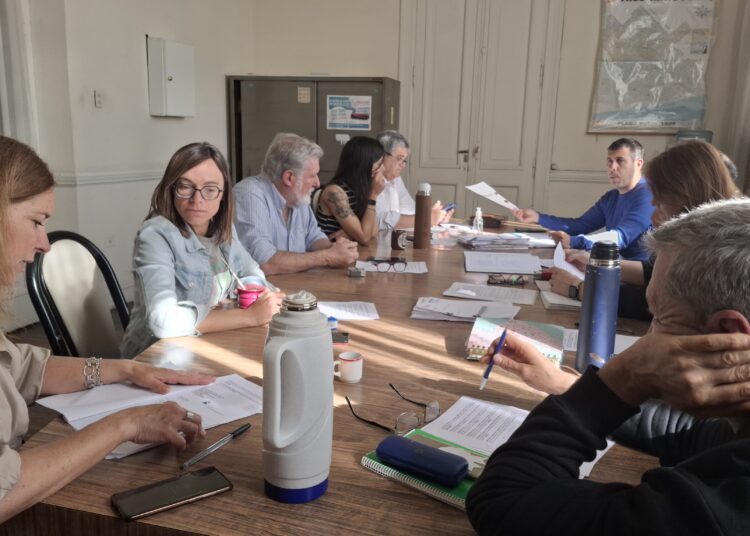 Presentaron dos (sí, dos) proyectos para regular el uso de monopatines eléctricos