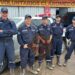 Bomberos voluntarios de la Región Sur unen fuerzas en Villa Gesell para operativo de remoción y rescate
