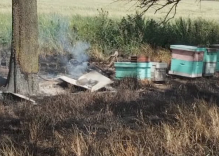 Sofocaron incendio de colmenas y parte de un monte en Lin Calel