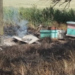 Sofocaron incendio de colmenas y parte de un monte en Lin Calel