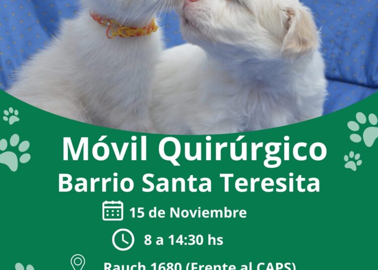Castraciones gratuitas, esta semana en Orense y Barrio Santa Teresita