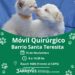 Castraciones gratuitas, esta semana en Orense y Barrio Santa Teresita