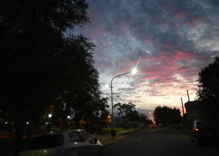 Plan municipal de iluminación: llegó la luz LED a la Plaza del Árbol