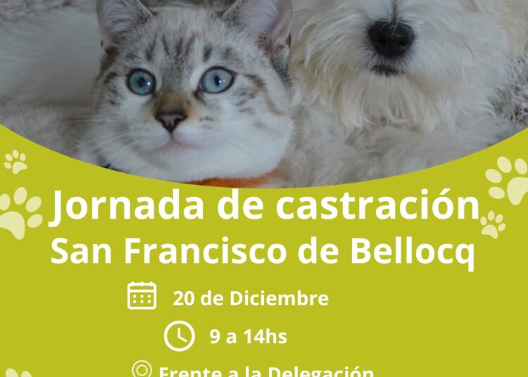 Mañana la Jornada de castración llega a Bellocq