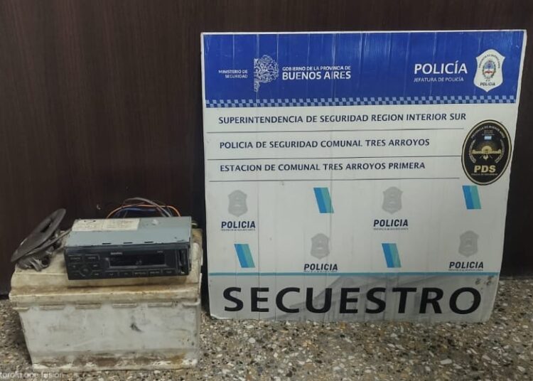 Lo aprehendieron mientras intentaba robar en un auto