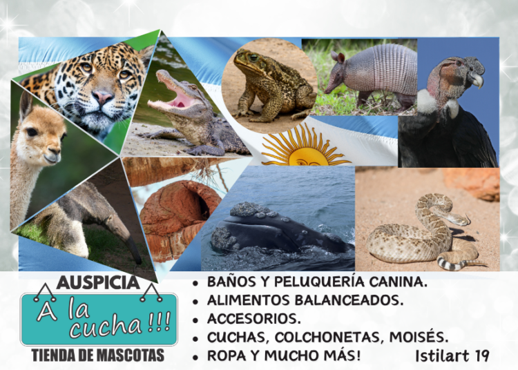 Wombat: qué es?