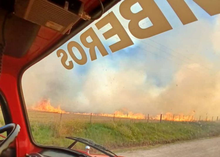 Solicitan suspender la cosecha por riesgos de incendios
