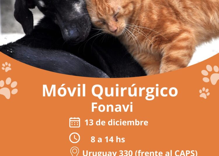 El móvil quirúrgico de Bromatología castrará en el Fonavi Terminal
