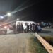 Accidente fatal en Ruta 3 y Vélez Sársfield