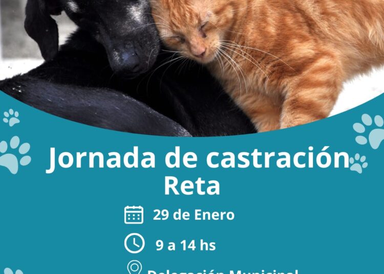 Jornada de castración en Reta