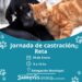 Jornada de castración en Reta