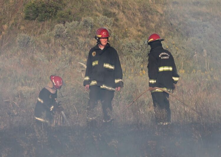 Sofocaron incendio forestal en el sector de La Olla del Vivero claromequense