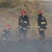 Sofocaron incendio forestal en el sector de La Olla del Vivero claromequense