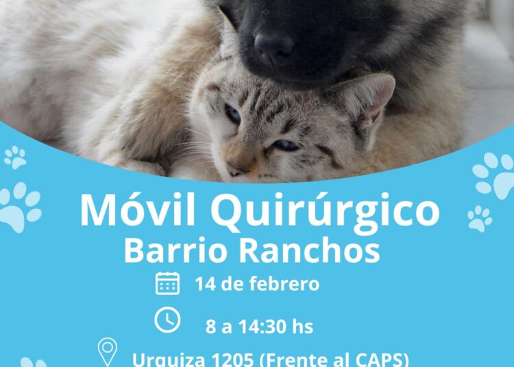 Viernes 14: Castración gratuita en Barrio Ranchos